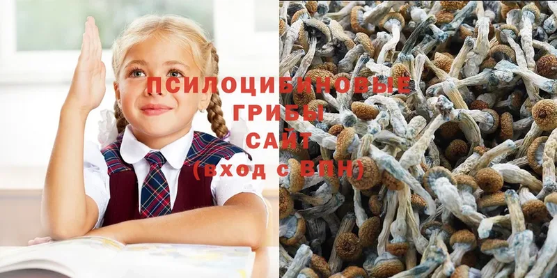 Галлюциногенные грибы ЛСД  Борзя 